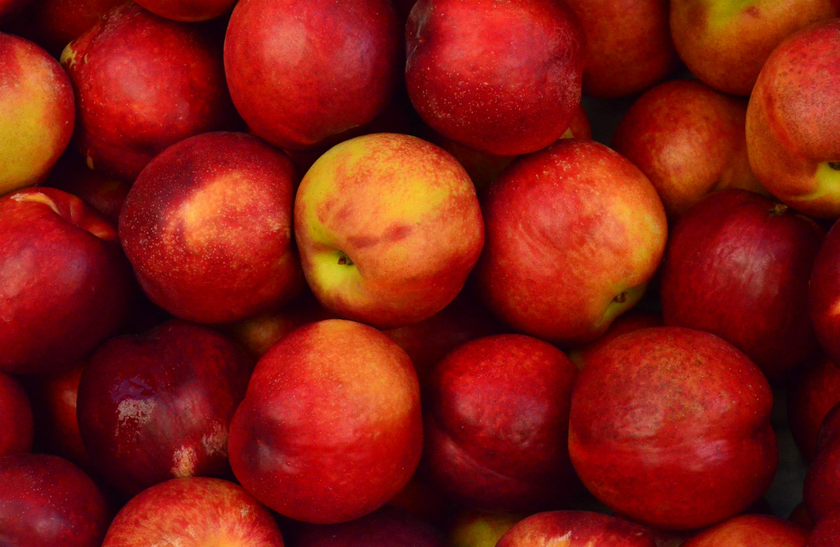 apples
